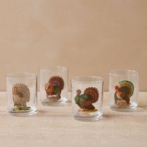 NEW IN BOX John Derian Turkey Cocktail Glasses Set Of 4